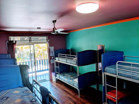 Cool Bananas Backpackers - Tourism Brisbane 5