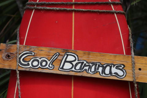 Cool Bananas Backpackers - Tourism Brisbane 41