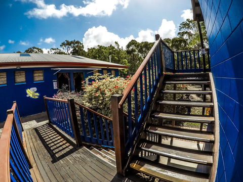 Cool Bananas Backpackers - Tourism Brisbane 27