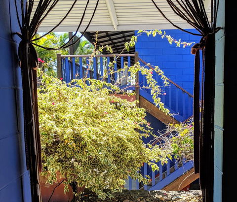 Cool Bananas Backpackers - Tourism Brisbane 10