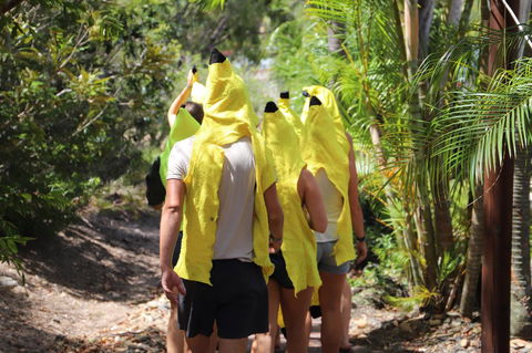 Cool Bananas Backpackers - Tourism Brisbane 19