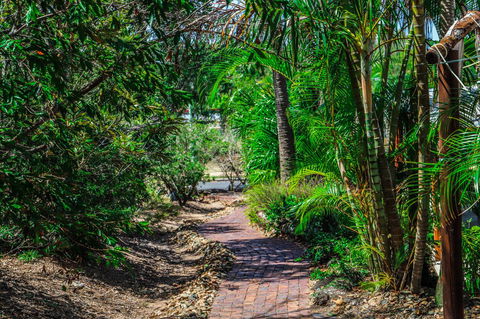 Cool Bananas Backpackers - Tourism Brisbane 15