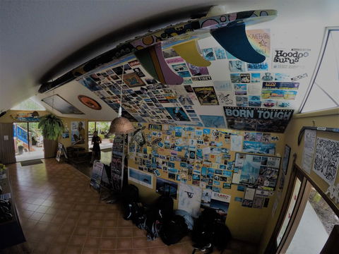 Cool Bananas Backpackers - Tourism Brisbane 31