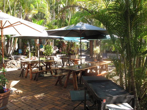 Cool Bananas Backpackers - Tourism Brisbane 16