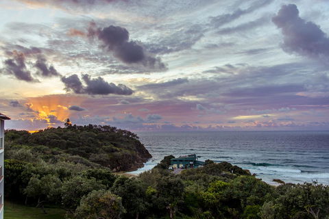 Whale Watch Ocean Beach Resort - Tourism Brisbane 4