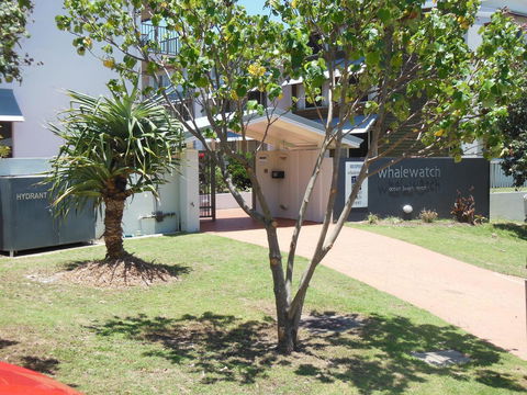 Whale Watch Ocean Beach Resort - Tourism Brisbane 14