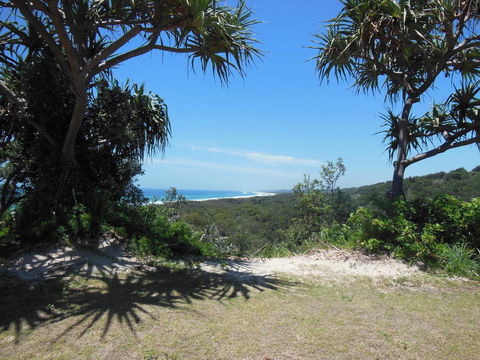 Whale Watch Ocean Beach Resort - Tourism Brisbane 3