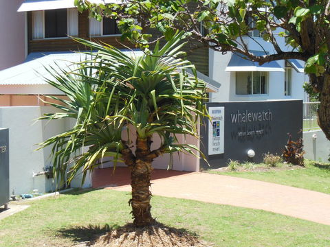 Whale Watch Ocean Beach Resort - Tourism Brisbane 15