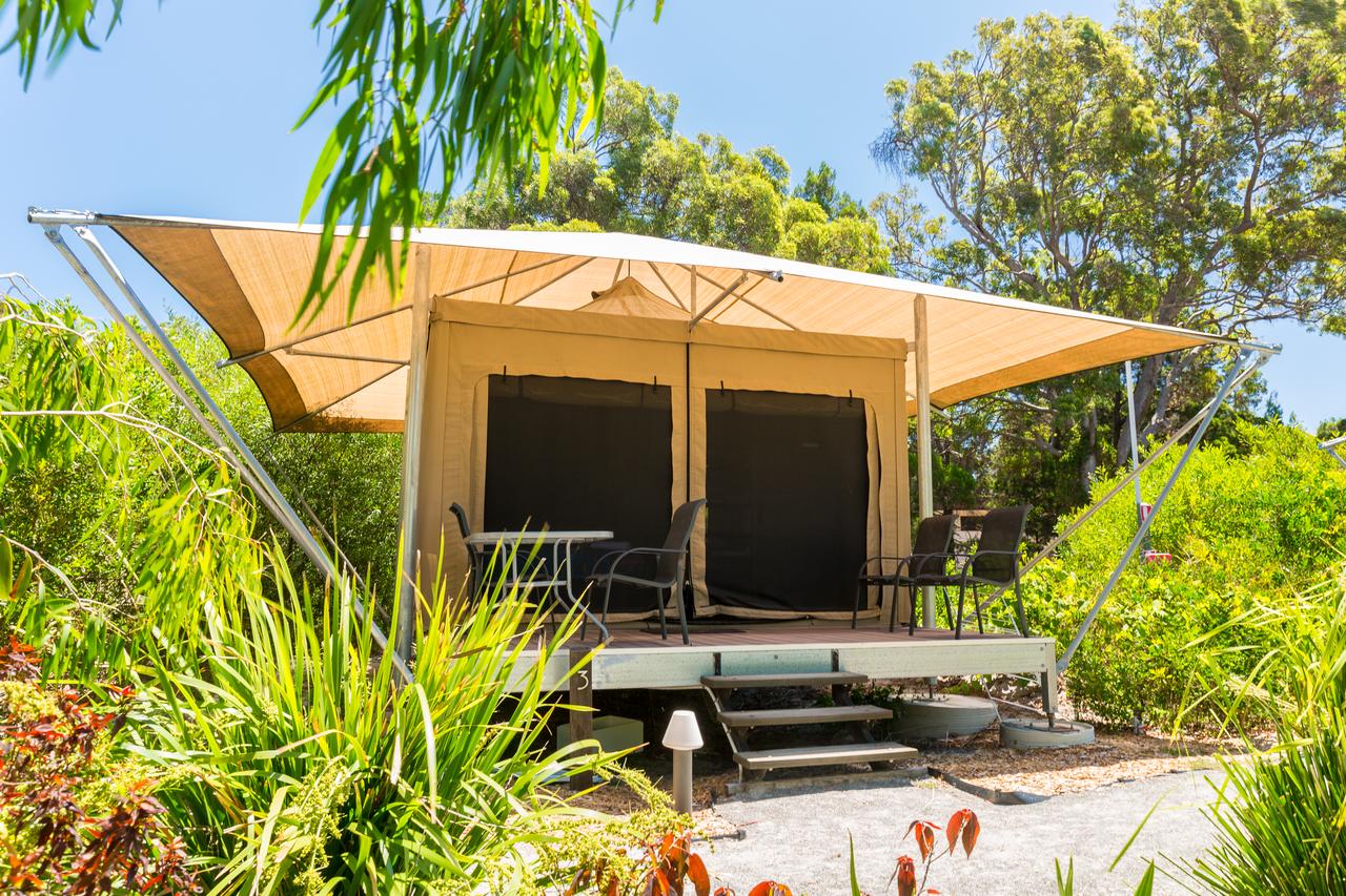 Bulwer QLD Brisbane Tourism