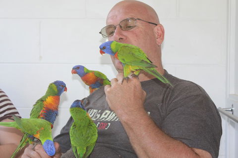 Amaroo On Mandalay, Magnetic Island - Brisbane Tourism 33