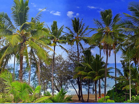 By The Sea Port Douglas - Tourism Brisbane 3