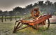 Granite Belt Retreat And Brewery - thumb 16
