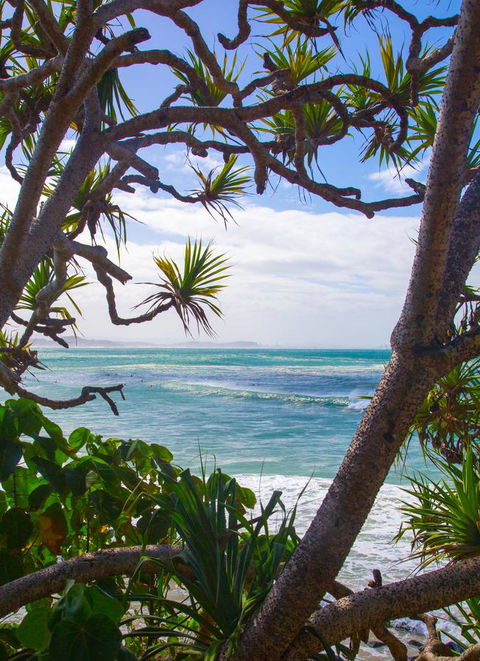 Rainbow Bay Backpackers - Tourism Brisbane 26