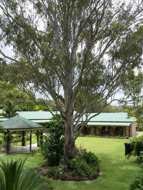The Bearded Dragon Boutique Hotel - Tourism Brisbane 32