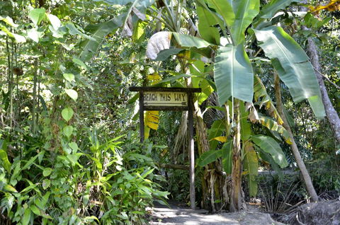 PK\'s Jungle Village - Tourism Brisbane 23