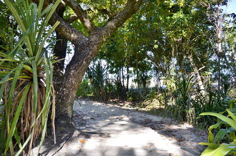 PK\'s Jungle Village - Tourism Brisbane 28