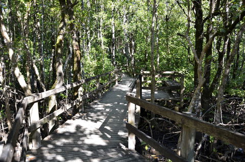 PK\'s Jungle Village - Tourism Brisbane 32