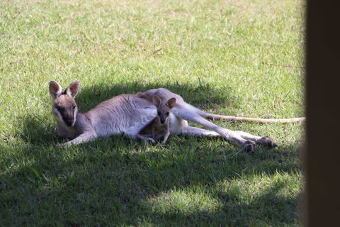 The Hideaway Agnes Water (Adults Only) - Tourism Brisbane 42