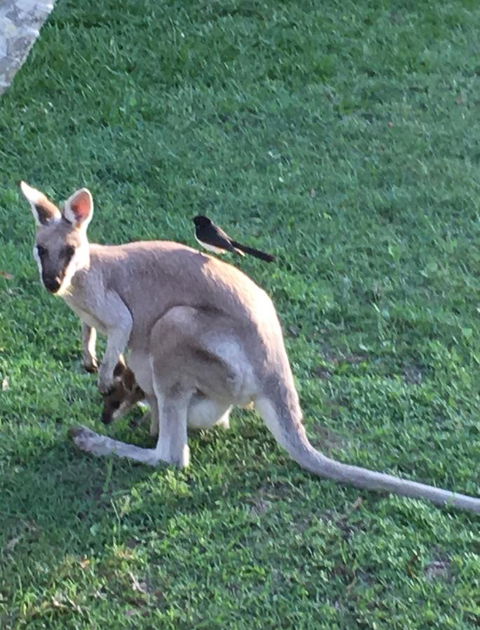 The Hideaway Agnes Water (Adults Only) - Tourism Brisbane 8
