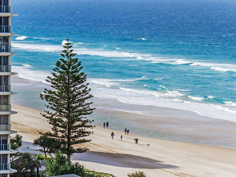Sunbird Beach Resort Main Beach - Tourism Brisbane 27