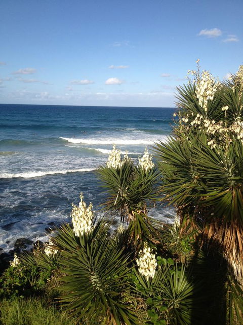 Oceania On Burleigh Beach - Tourism Brisbane 23