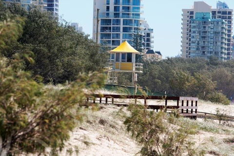 Surfers International Apartments - Tourism Brisbane 4