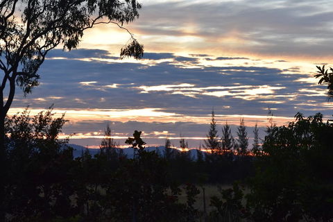 Ironbark House - Tourism Brisbane 40