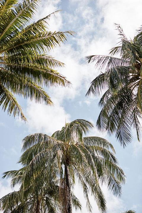 Novotel Cairns Oasis Resort - Tourism Brisbane 9