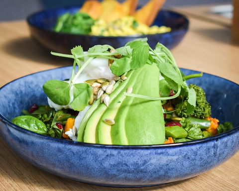 Belise Apartments - Brisbane Tourism 25