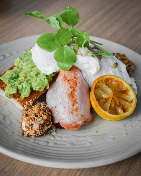 Belise Apartments - Brisbane Tourism 29