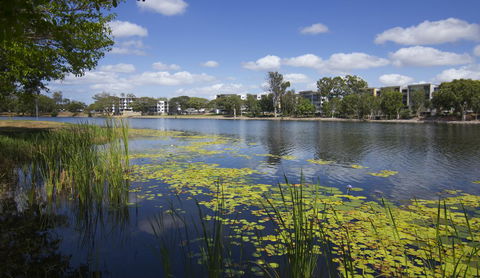 Jacana Apartments - Brisbane Tourism 15