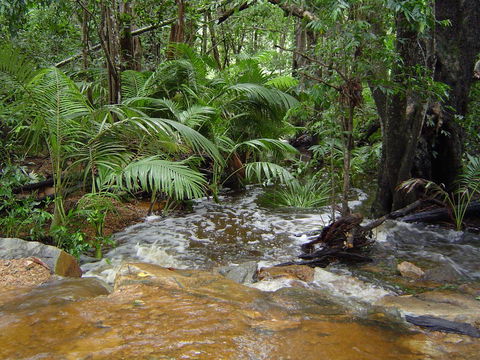 Forest Lodge: Little Villa - Tourism Brisbane 17