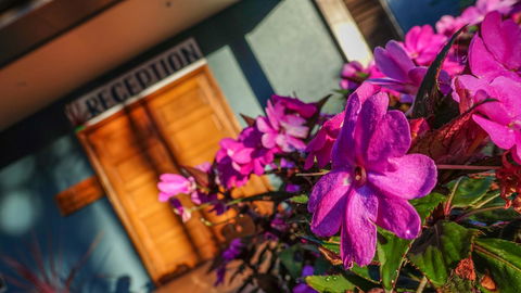 Blue Summit Hideaway - Tourism Brisbane 33