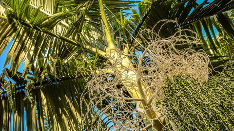 Blue Summit Hideaway - Tourism Brisbane 20