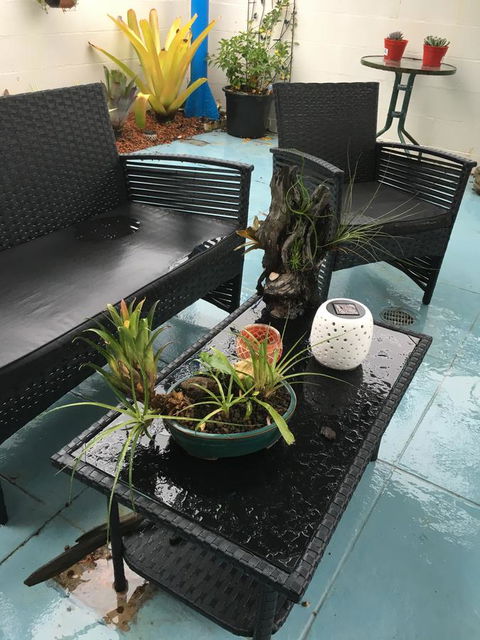 Black Marlin Motel - Tourism Brisbane 3