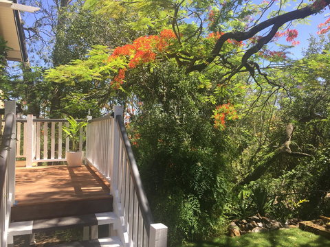 Halcyon On Bardon - Tourism Brisbane 7