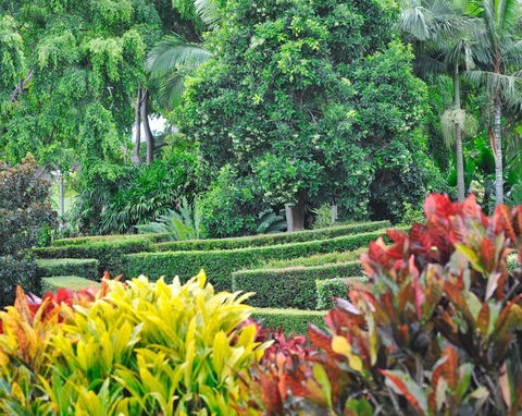 Soho Brisbane - Tourism Brisbane 3