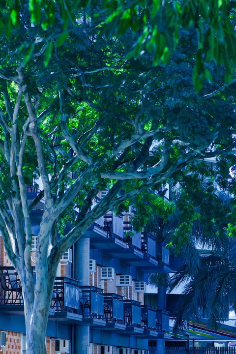Soho Brisbane - Tourism Brisbane 12