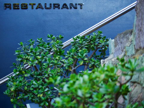 Soho Brisbane - Tourism Brisbane 22