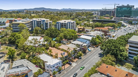 City Palms Brisbane - Tourism Brisbane 1