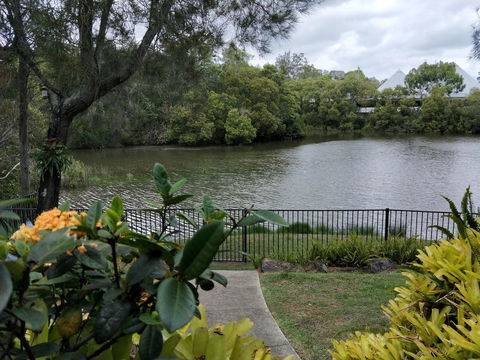 Waterfront Theme Park Getaway - Tourism Brisbane 23
