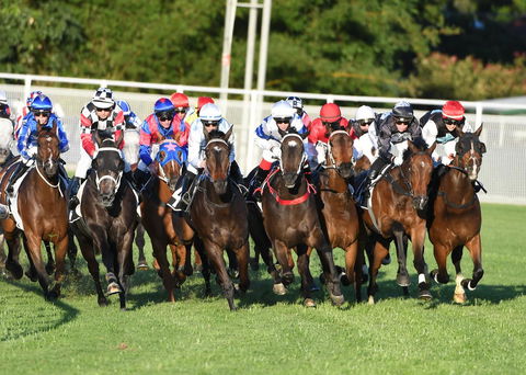 Best Western Airport 85 Motel - Tourism Brisbane 10