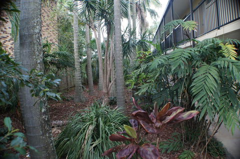 Best Western Airport 85 Motel - Tourism Brisbane 34