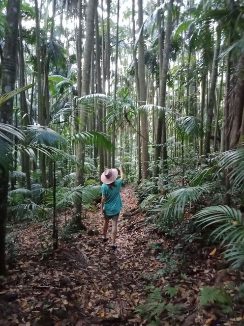 Manitzky Magic -B&B Home With Heart - Tourism Brisbane 27
