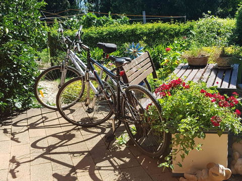 Manitzky Magic -B&B Home With Heart - Tourism Brisbane 26