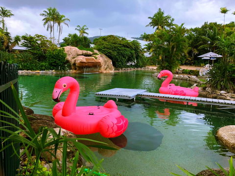 Cairns Colonial Club Resort - Brisbane Tourism 6