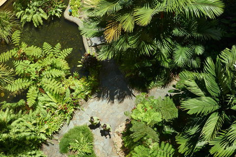 DoubleTree By Hilton Cairns - Brisbane Tourism 4