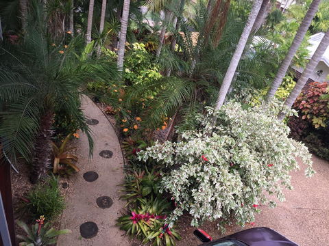 Casuarina - Tourism Brisbane 0