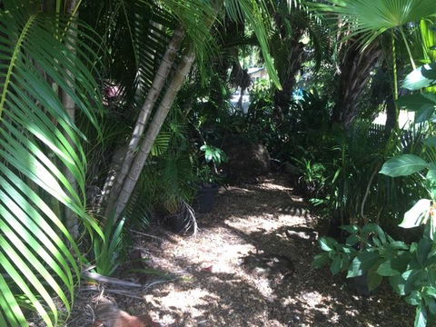 Casuarina - Tourism Brisbane 12