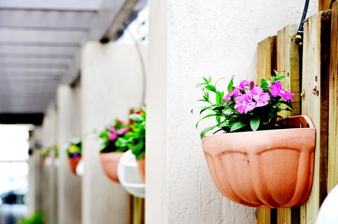 Spring Hill Mews Apartments - Tourism Brisbane 12